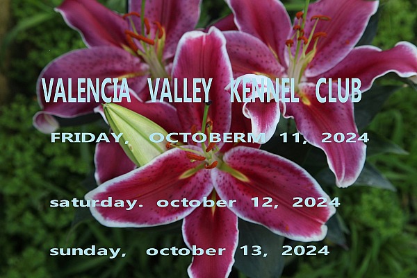 Valencia Valley K.C.  Friday Oct 11,  Saturday Oct 12, & Saturday Oct 13  2024